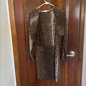 Brown Long Sleeve Dress